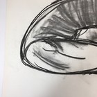 Picture 3 of 12