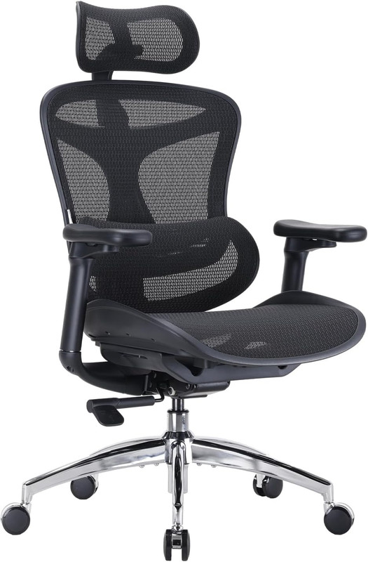 Sihoo Doro C300