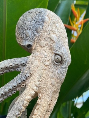 Hand Carved Octopus Skull Carved Wooden Statue Carving Carved Octopus Skull