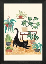 Black Cat Stretching Among Housepla Framed Wall Art Poster Canvas Print Picture