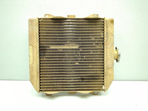 20-25 Honda TRX420FM1 Fourtrax 420 Front Radiator Cooler 19100-HR3-A210-M1