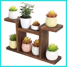 Wood Desktop Plant Stand Indoor - Windowsill Plant Shelf Small Tabletop Plant...