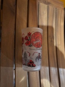 Vintage South Dakota State Souvenir Drinking Glass Tumbler Frosted