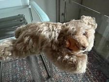 STEIFF B&auml;r,liegend,Rarit&auml;t+&uuml;.60 Jahre alt,21 cm L&auml;nge,B&auml;rchen Floppy Zotty