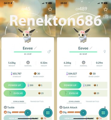 Shiny Eevee adorned flower cherry blossoms Male Female  P T C Read Description
