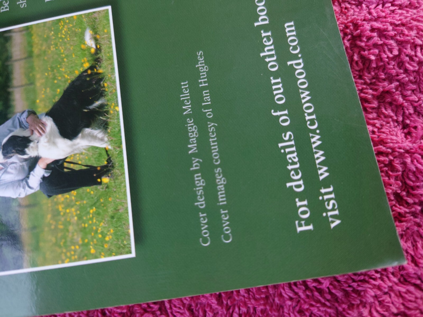 Barbara Sykes' Training Border Collies by Barbara Sykes (Paperback