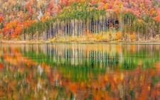 Landscape nature mountains forest lake austria trees Custom Gaming Mat Desk