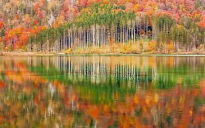 Landscape nature mountains forest lake austria trees Custom Gaming Mat Desk