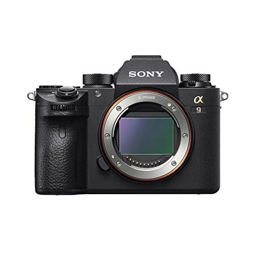 美品　SONY α9 Sony A9 Mirrorless Interchangeable Lens Cameras for Sale - eBay