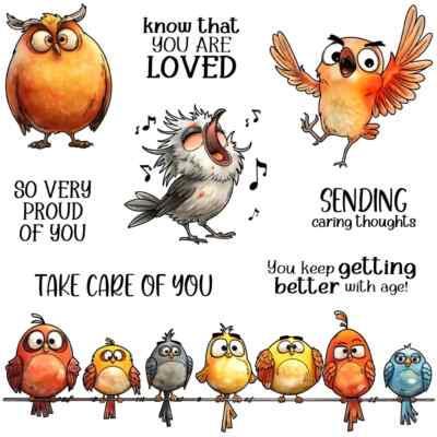 Silly Cartoon Birds so Very Proud of You Metal Cutting Dies Clear Stamps Craft