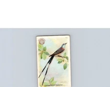 1922 Arm & Hammer Useful Birds America 3rd Series Scissor-tailed Flycatcher 20