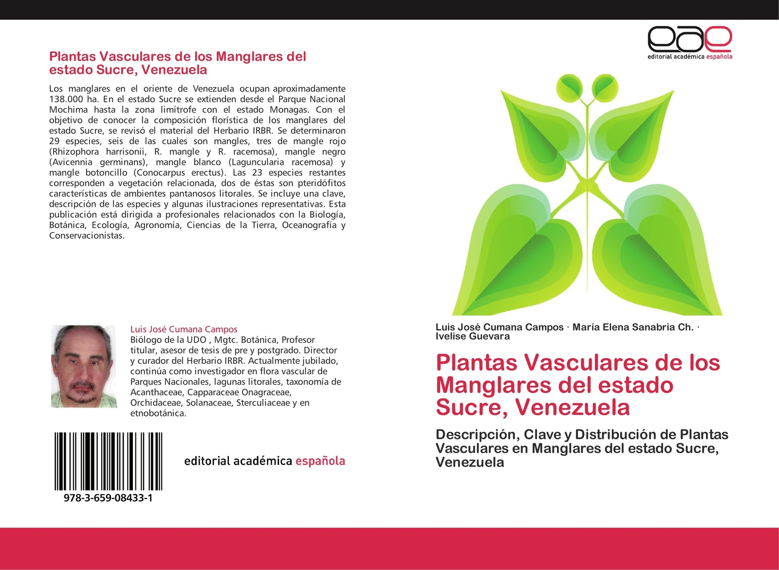 Thumbnail - Plantas Vasculares De Los Manglares Del Estado Sucre, Venezuela Campos