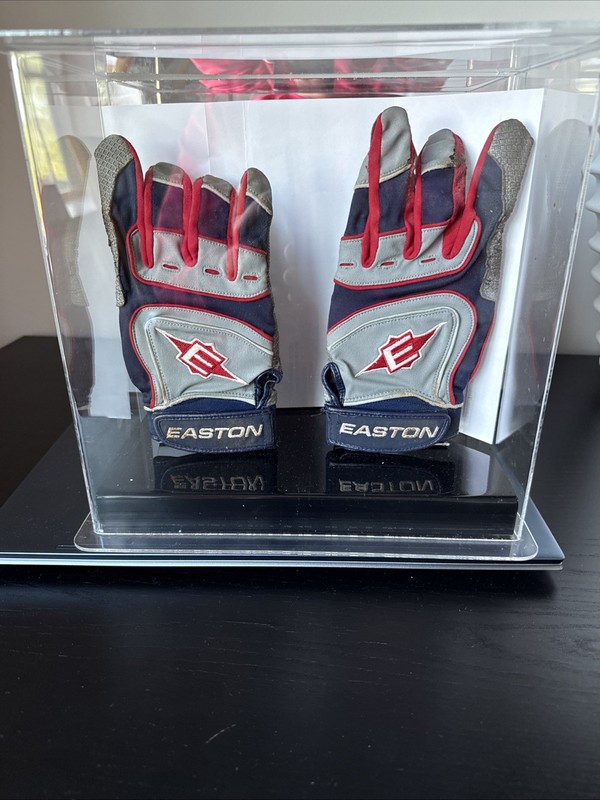 Dustin Pedroia 2009 Game Used Batting Gloves