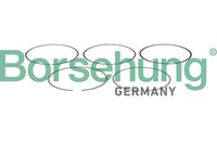 Kolbenringsatz Borsehung B13257 FüR VW Caddy 3 GroßRaumlimousine 2KB 2KJ 2CB 2CJ