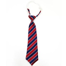 SCHOOL BLUE AND RED THICK SATIN STRIPED NECK TIE SCHOOLBOY