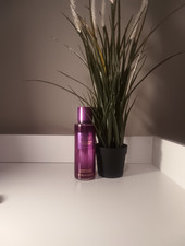 Victoria's Secret Sultry Berry Bourbon Fragrance Mist 8.4 fl oz
