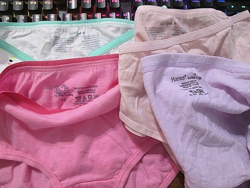 New Hanes,FruitLoom Etc Size 10/L Girls' Bikini Briefs 4 Pk Your Choice of Group - Picture 147 of 157