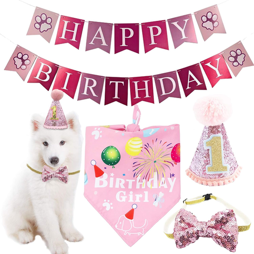BIPY Dog 1st Birthday Hat Bandana Bowite Banner Set for Girls Small