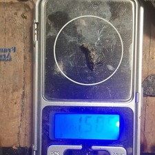 Gold Nugget 1.505g Natural Raw Pure Precious Metal for Collectors and Investors 2583.35 per troy oz