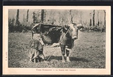 CPA Normandie, Types Normandes, La Traite des Vaches 