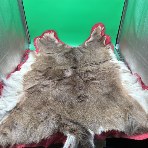 Vintage 90s Hunting Whitetail Deer Hide Rug