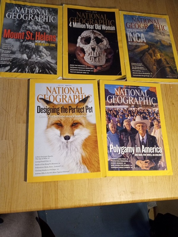 National Geographic Magazinea Lot
