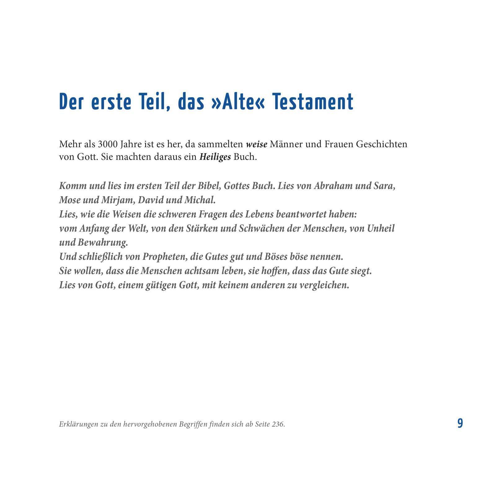 Thumbnail - Die Neue Erzählbibel Martina Steinkühler Buch 248 S. Deutsch 2015