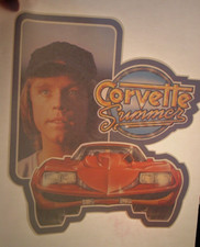 CORVETTE SUMMER VINTAGE 1970's MOVIE IRON ON TRANSFER -NICE, B-19 3