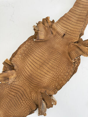 Crocodile Leather Antique Saddle WW Finish (100% Genuine skin)
