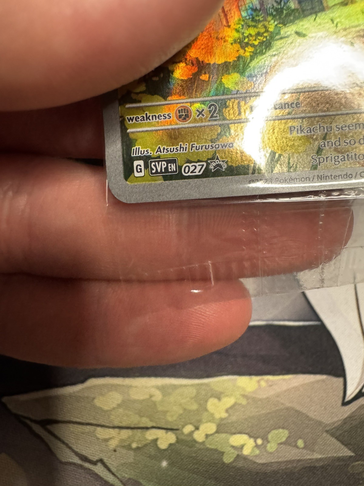 Picture 4 of 10