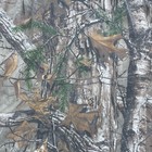 Bild 18 von 19