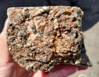 rawk11: 2.55LB Turritella Fossil Agate Rough-Ancient Fossilized Snails-Wyoming! — photo 4