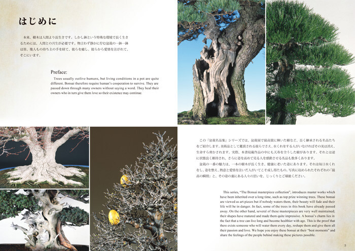CLASSIC BONSAI of JAPAN ジョン・ベスター訳日本盆栽名品集 英文版 日本盆栽名品集 - Classic Bonsai of Japan | JOHN