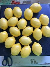 Lot Of 19 Artificial Lemons Lemon Faux Fruit Home decor