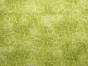 Distinction-The-Gallery-by-Choice-Fabrics-Light-Green-100-Cotton-44-034-wide-SBY