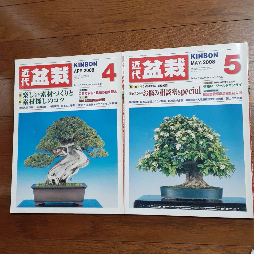 Kindai Bonsai Japanese Bonsai Magazine Kinbon Set Of 5 05 Book Art Design Used Ebay Kindai Bonsai Japanese Bonsai Magazine Kinbon Set Of 5 05 Book Art Design Used Ebay