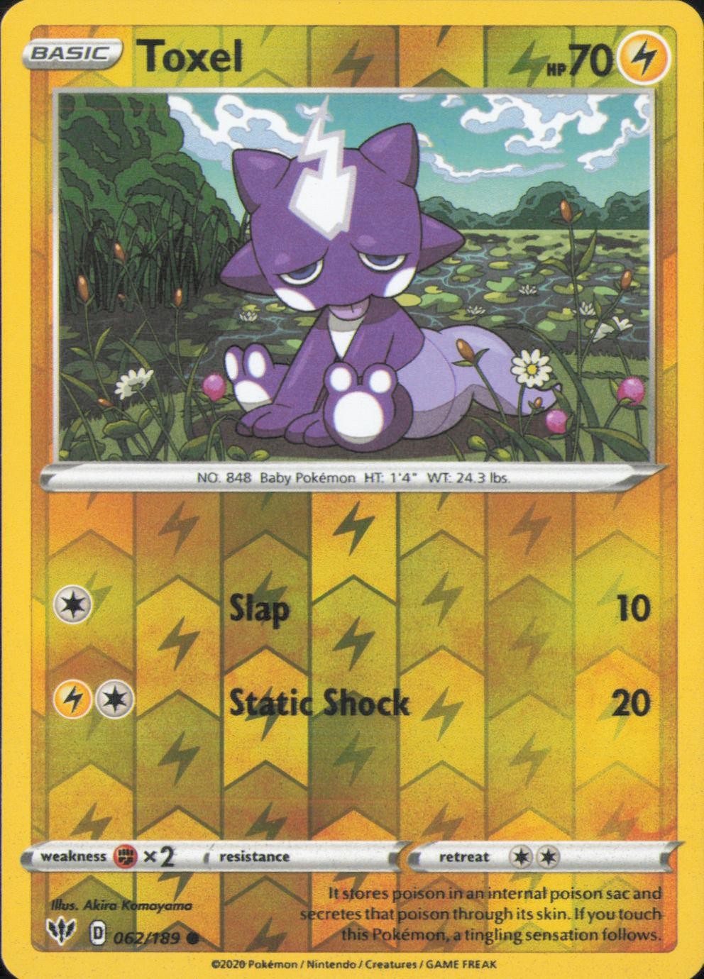 Toxel 062/189 Common Darkness Ablaze Pokemon Reverse Holo LP