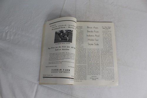 Guernsey Breeders Journal December 1, 1937 Cow Calf Bull Farms Cattle Dairy Ads - Imagen 5 de 18