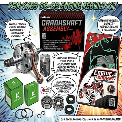 #ad For Kawasaki engine rebuild KX65 KX 65 2000 05 Nachi Bearing Riken Ring Piston 1 $293.00