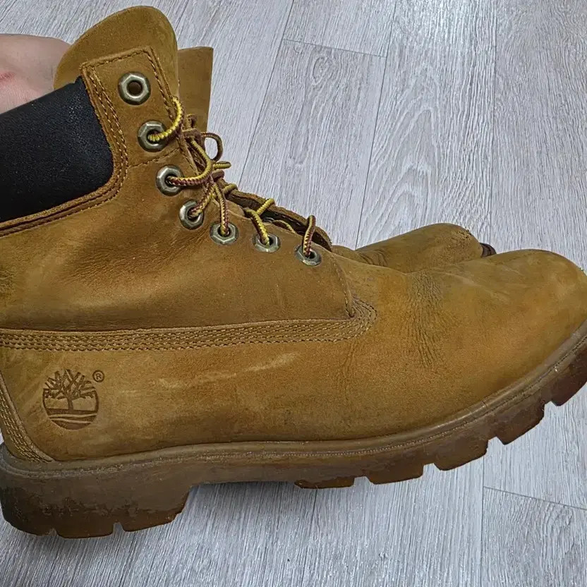 Timberland 6-Inch Waterproof Basic Boots Men (250… - image 5