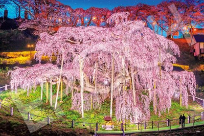 Epoch 1000-piece jigsaw puzzle Japanese landscape Miharu no