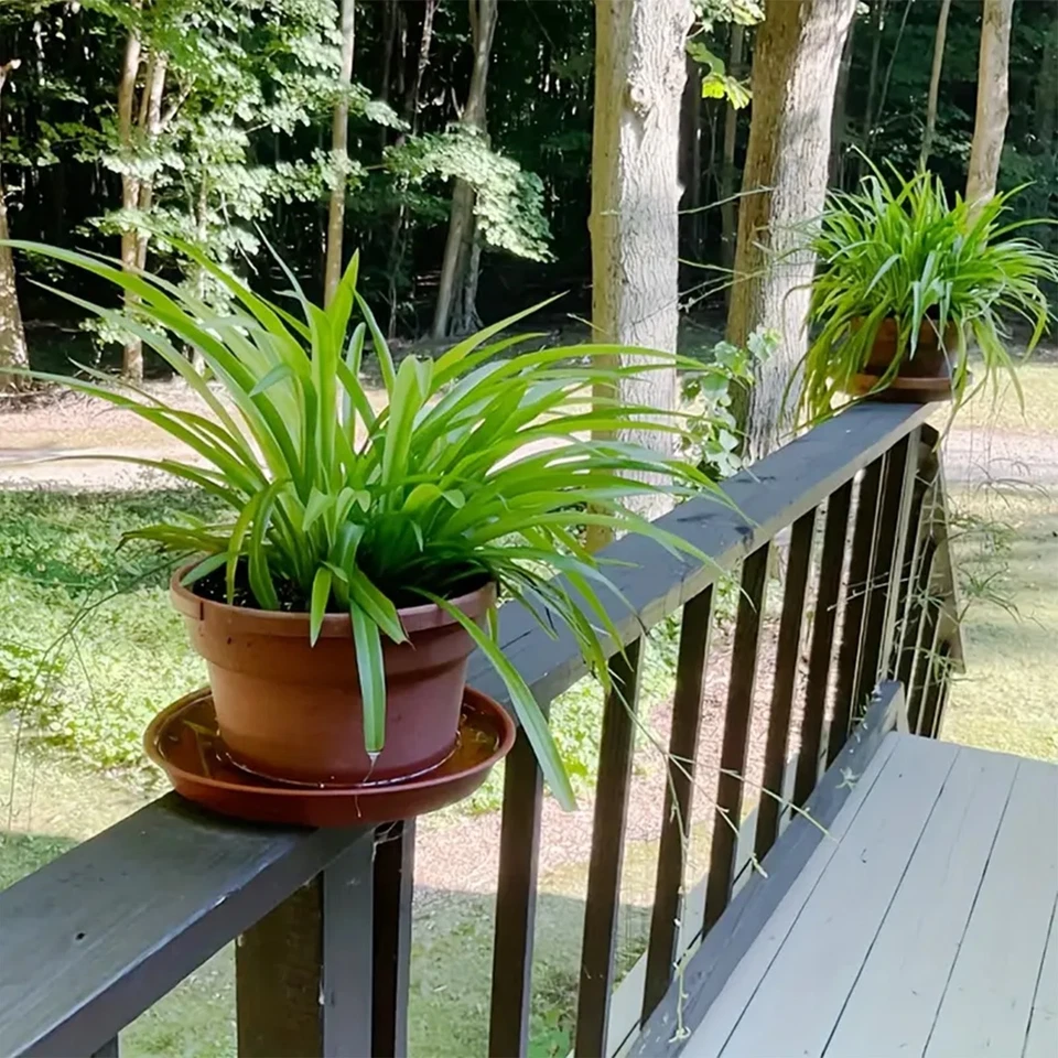 Plato de plantas duradero 6 piezas 12 pulgadas - Bandeja de maceta para protección del piso y captura de agua Foto 4 de 4