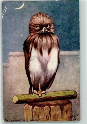 13958225 - Tuck Serie Animal Expressions 9249 Eule