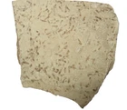 Eocene Green River fossil insect Colorado Mass Mortality slab 150+ insects #124