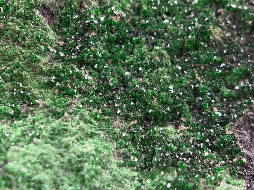 UVAROVITE Racimo de Cristal Crudo Druzy - Calcio Cromo Verde Granate Piedra, 51652 - Imagen 6 de 8