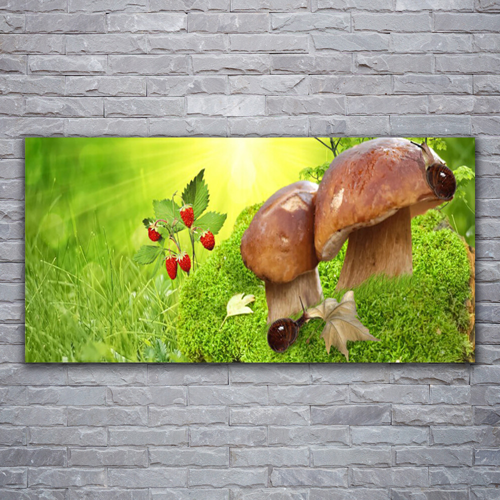 Impression sur verre acrylique champignons pour déco de cuisine nature