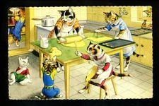 Cat postcard Alfred Mainzer anthropomorphic dressed Spain #4702