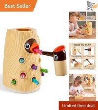 Montessori Wooden Toy for Kids 2-4 Fine Motor Skills Sensory Magnetic Game