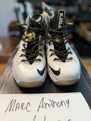 Lebron 10 X elite plus size 11 OG ALL