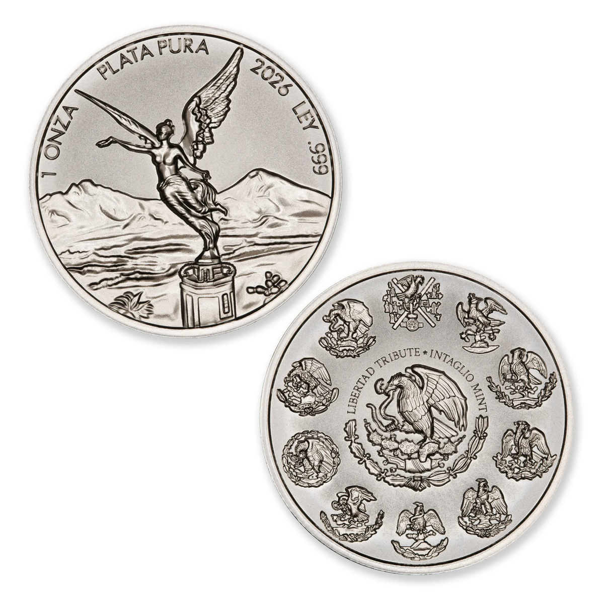 2026 Intaglio Mint Libertad Tribute 1 oz Silver Round | eBay